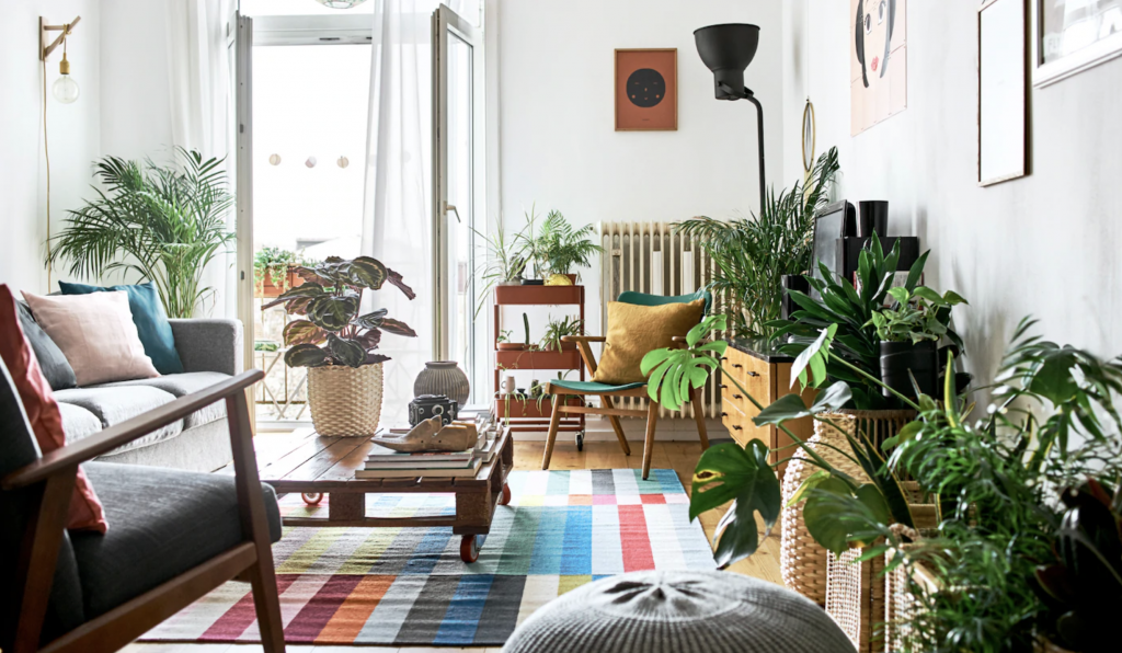 How to Decorate a Living Room on a Budget