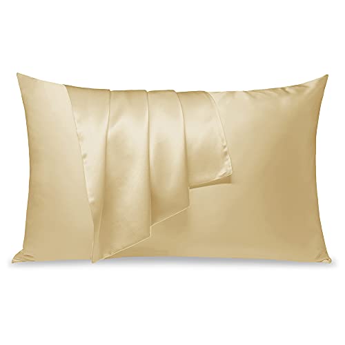 LULUSILK Silk Pillowcase Queen Size, Mulberry Silk Pillow...