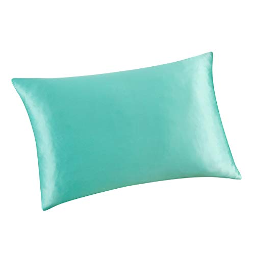 ALASKA BEAR Natural Silk Pillowcase, Hypoallergenic, 19 Momme, 600 Thread Count 100 Percent Mulberry Silk,...