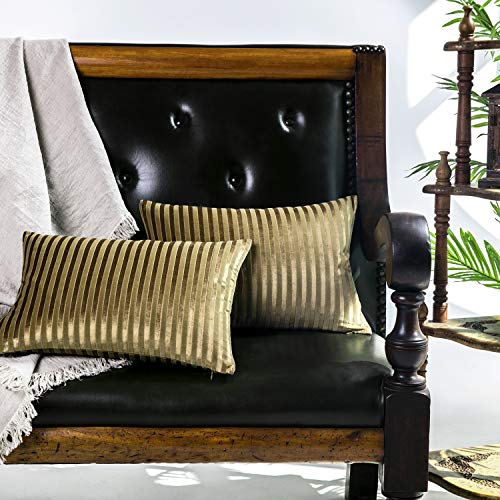 Elegant Life Home Pack of 2 Decorative Velvet Throw Pillow...