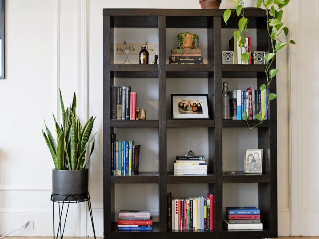 A bookshelf with plant and other elements