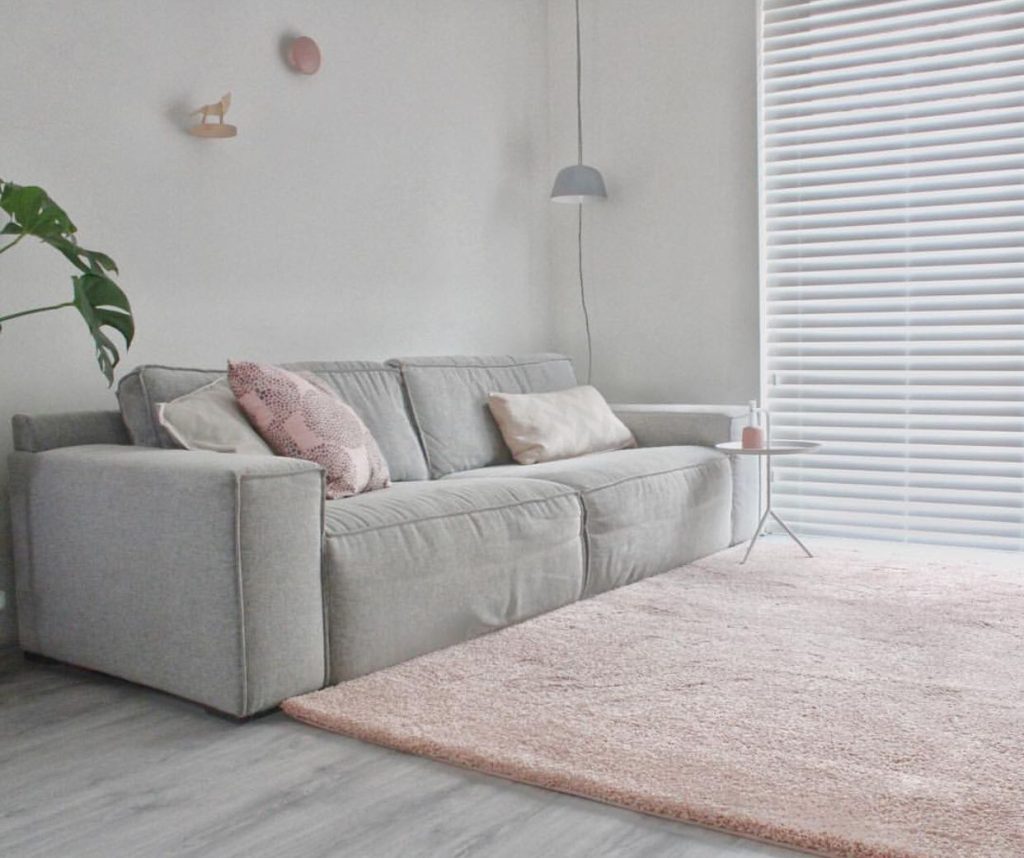 Pink Rug with Gray Sofa